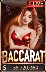 anh trang chu sunwin 1