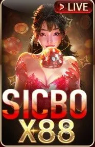 anh trang chu sunwin 2