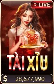 anh trang chu sunwin 3