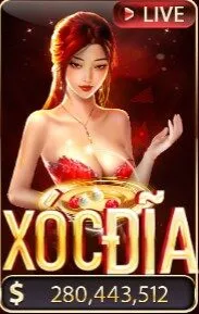 anh trang chu sunwin 4